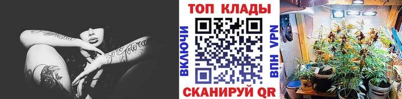 Магазины продажи наркотиков Чулым Псилоцибиновые грибы  Кокаин  ГАШИШ  СК  МЕФ  Конопля 