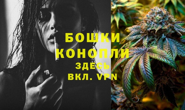 сатива Медногорск