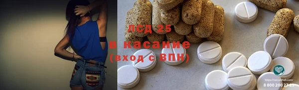 сатива Медногорск