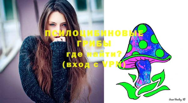 сатива Медногорск