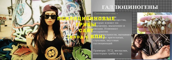 мяу мяу кристалл Бикин