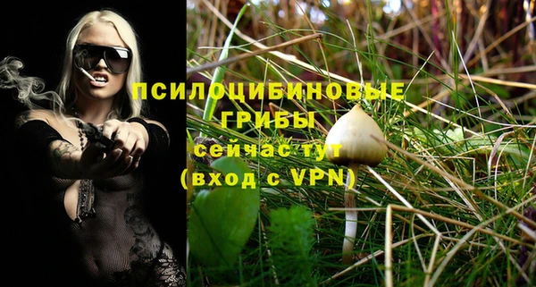 2c-b Медвежьегорск