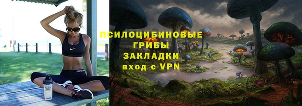 2c-b Медвежьегорск