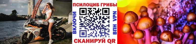 гидра вход  Чулым  Псилоцибиновые грибы Magic Shrooms  магазин продажи наркотиков 
